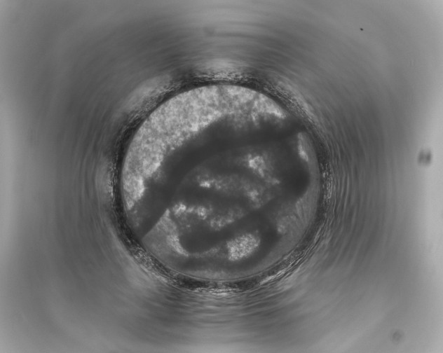 X0000093750643200711131126