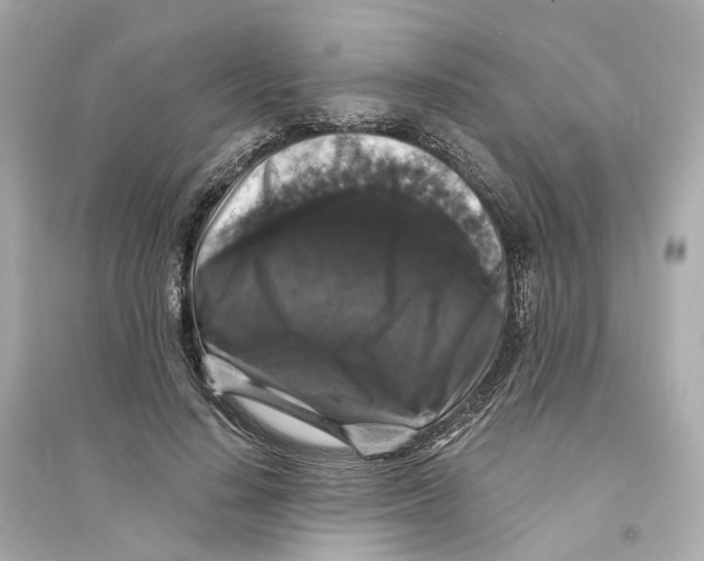 X0000093750644200711131126