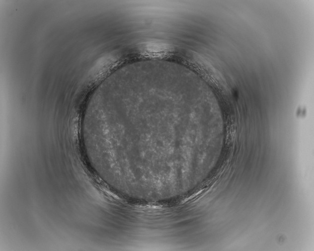 X0000093750647200711131126