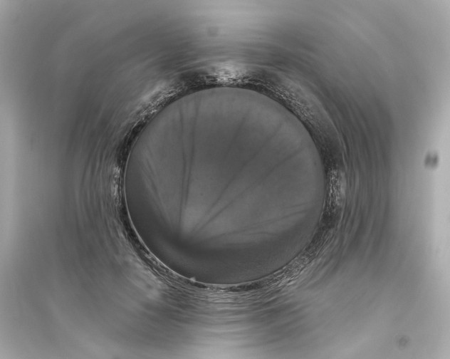 X0000093750650200711131126