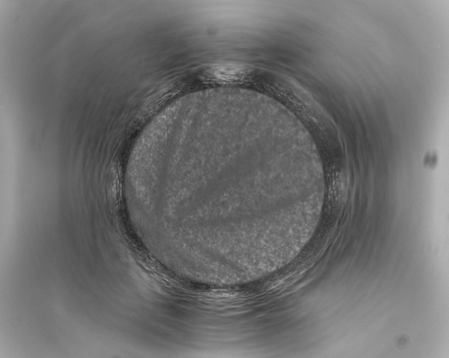 X0000093750651200711131126