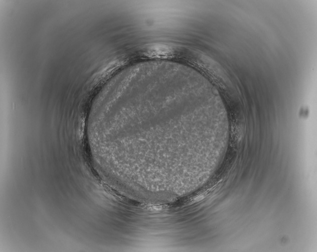 X0000093750652200711131126