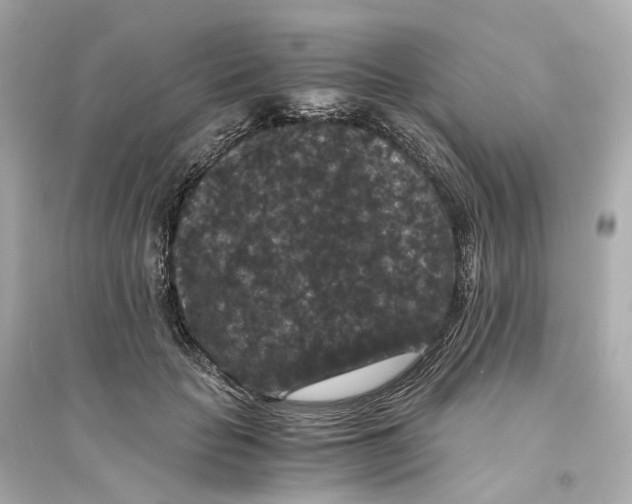 X0000093750653200711131126