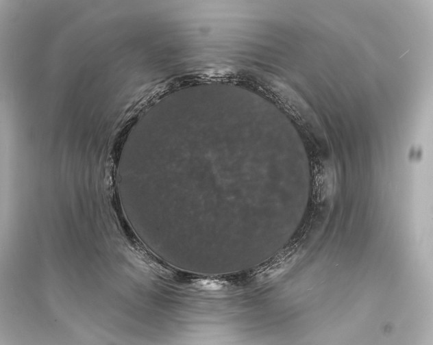 X0000093750654200711131126