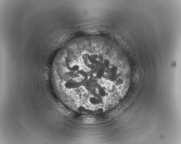 X0000093750658200711131126