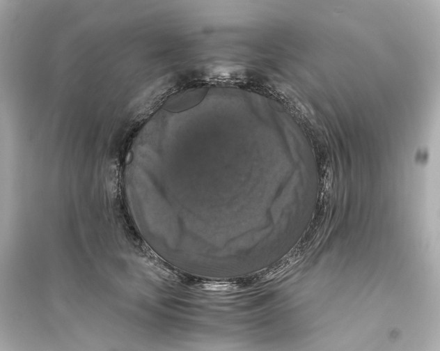 X0000093750659200711131126