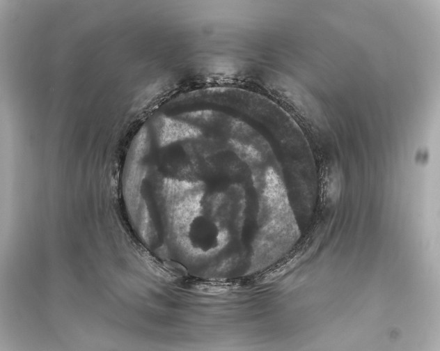 X0000093750661200711131126