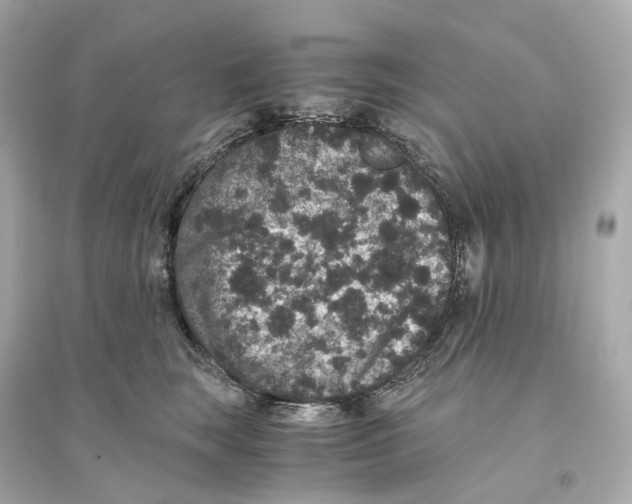 X0000093750663200711131126