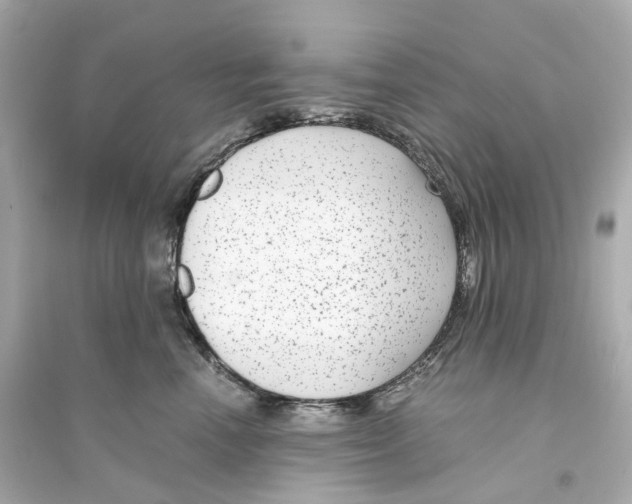 X0000093750666200711131126