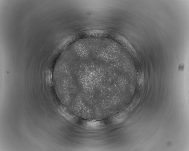 X0000093750669200711131126