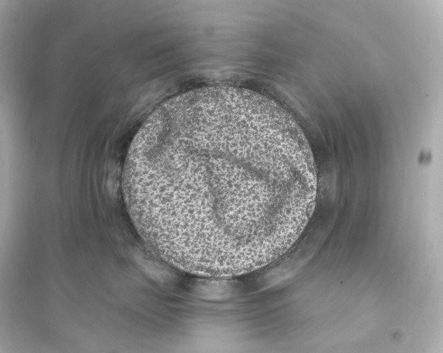 X0000093750671200711131126