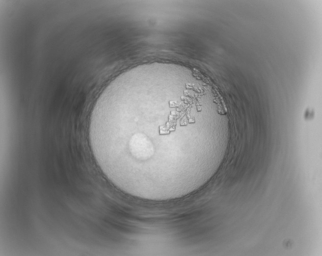 X0000093750672200711131126