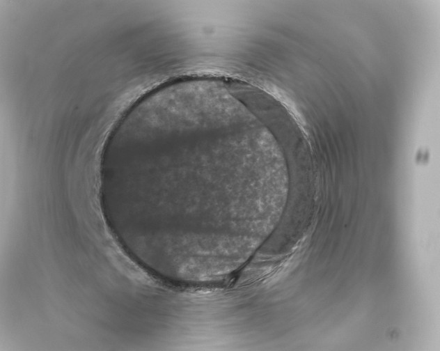 X0000093750673200711131126