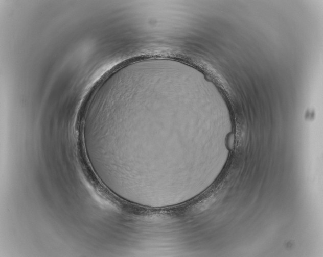 X0000093750674200711131126