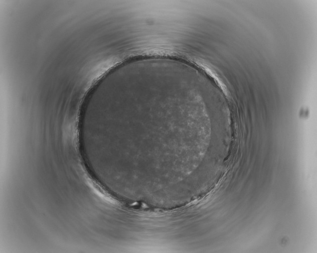 X0000093750677200711131126