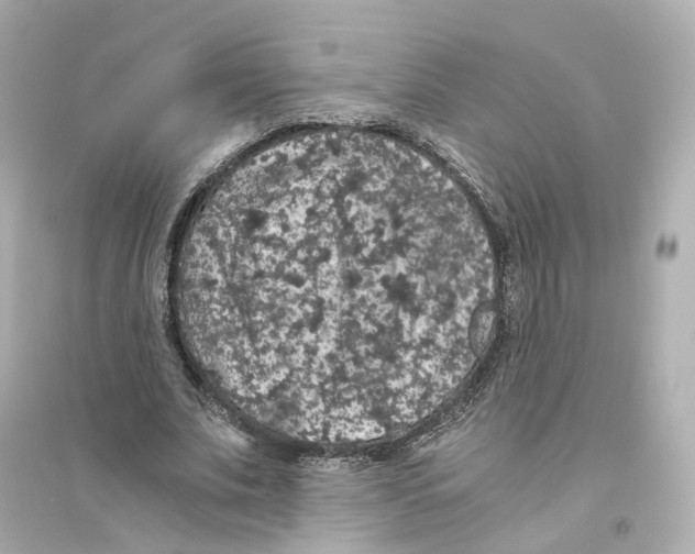 X0000093750679200711131126