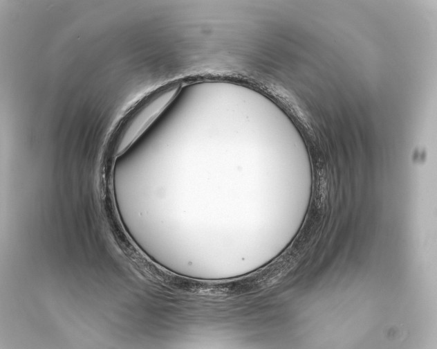 X0000093750680200711131126