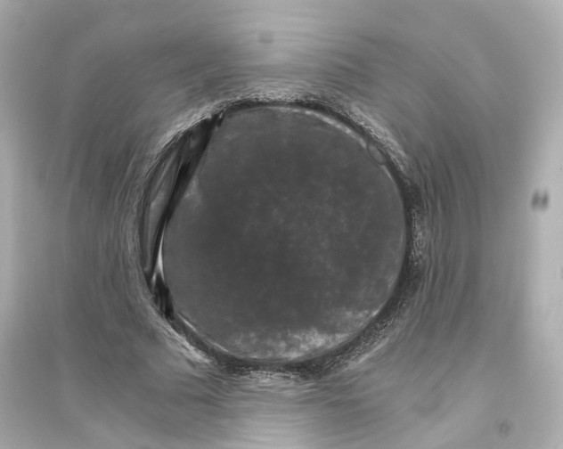 X0000093750681200711131126