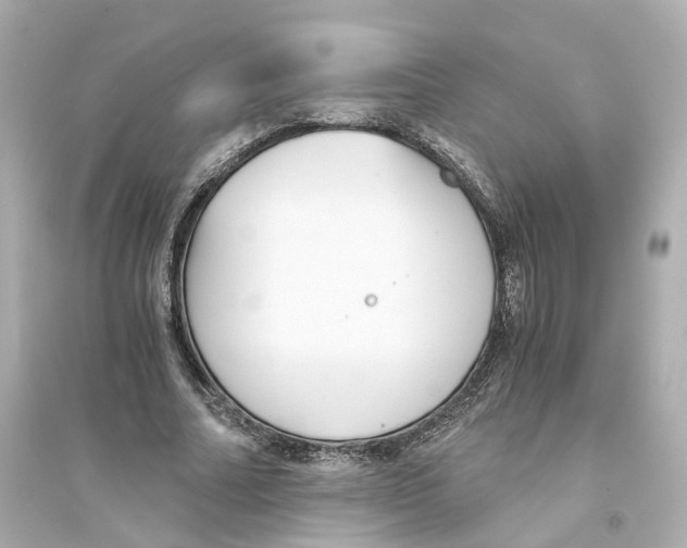 X0000093750682200711131126