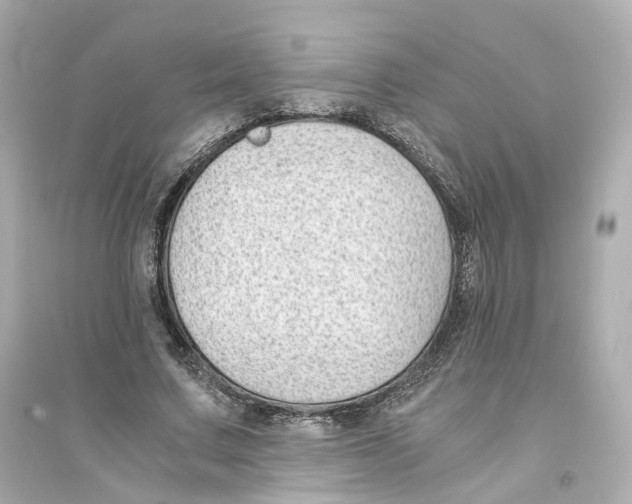 X0000093750683200711131126