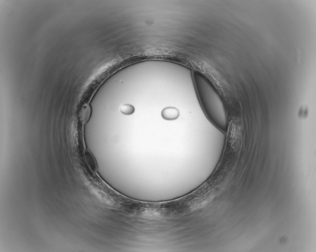 X0000093750684200711131126