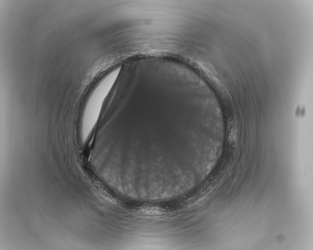 X0000093750685200711131126