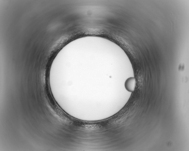 X0000093750686200711131126