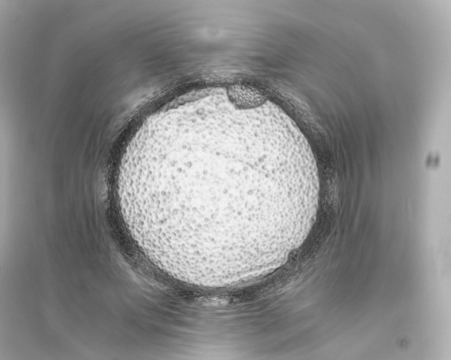 X0000093750687200711131126