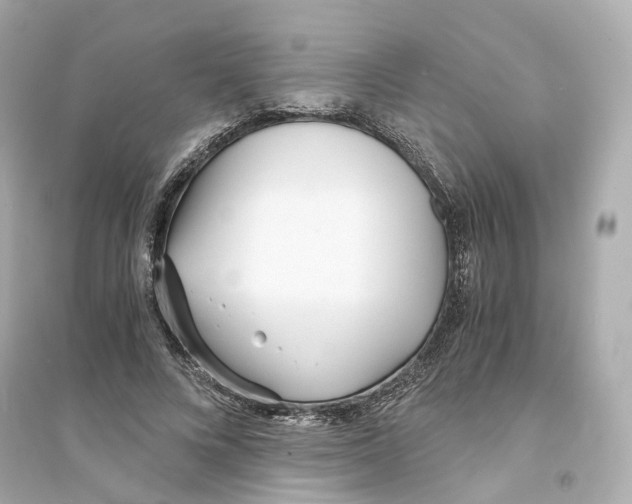 X0000093750688200711131126