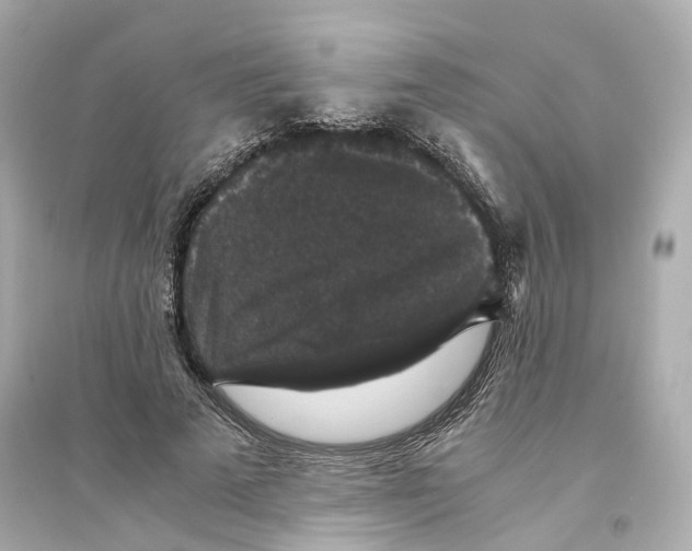 X0000093750689200711131126