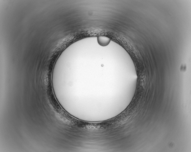 X0000093750690200711131126