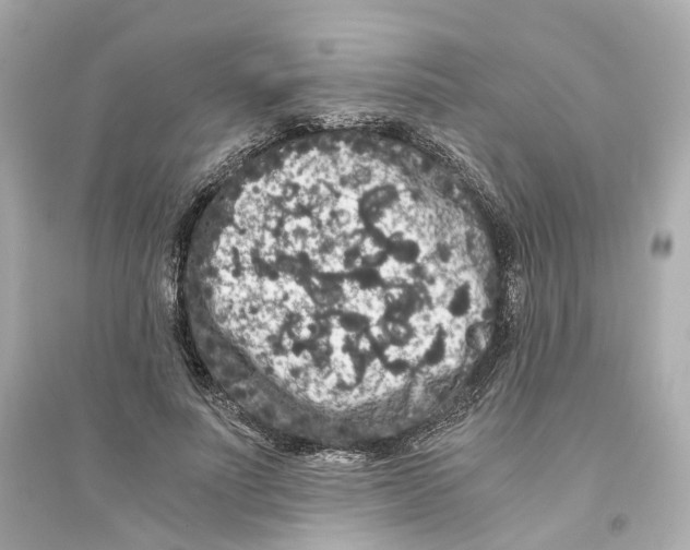 X0000093750691200711131125