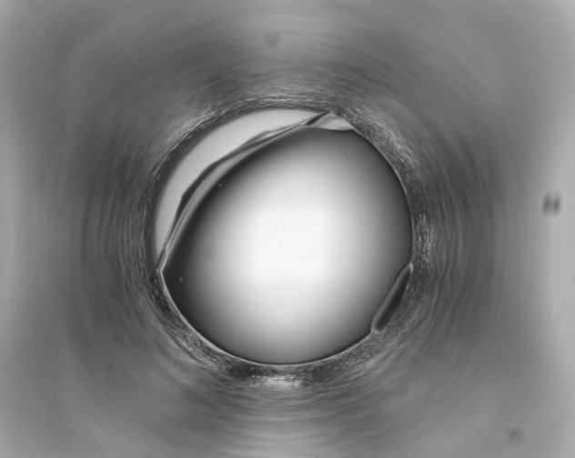 X0000093750692200711131125