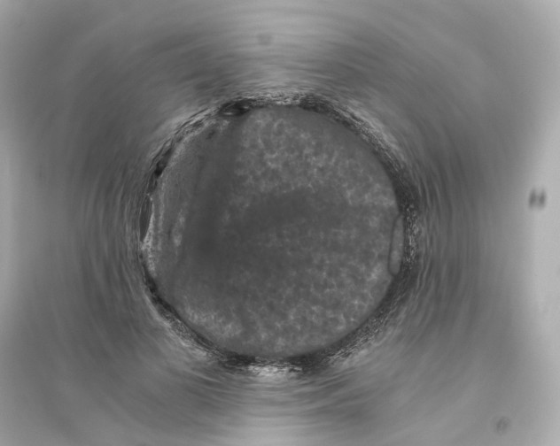 X0000093750693200711131125