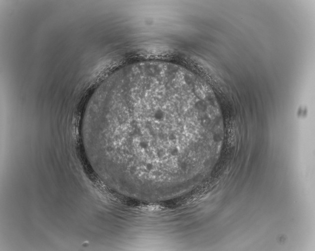 X0000093750695200711131125