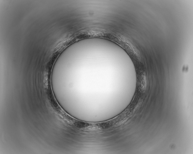 X0000093750696200711131125