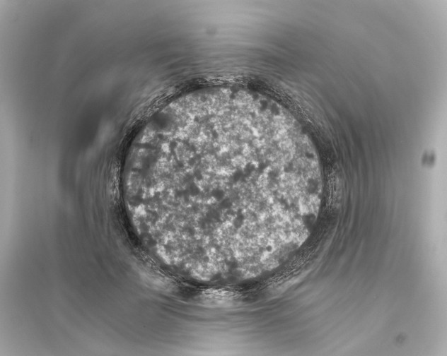 X0000093750699200711131125