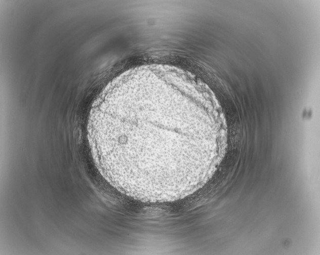 X0000093750703200711131125