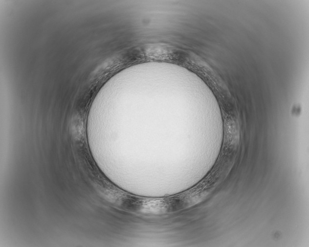 X0000093750705200711131125