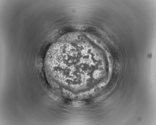 X0000093750707200711131125