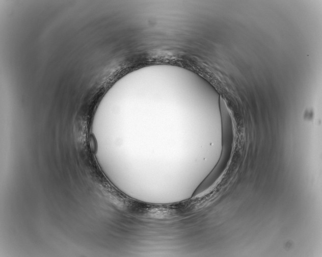 X0000093750708200711131125