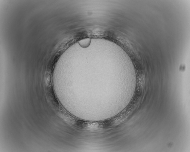 X0000093750709200711131125