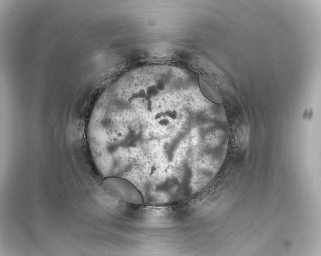 X0000093750711200711131125