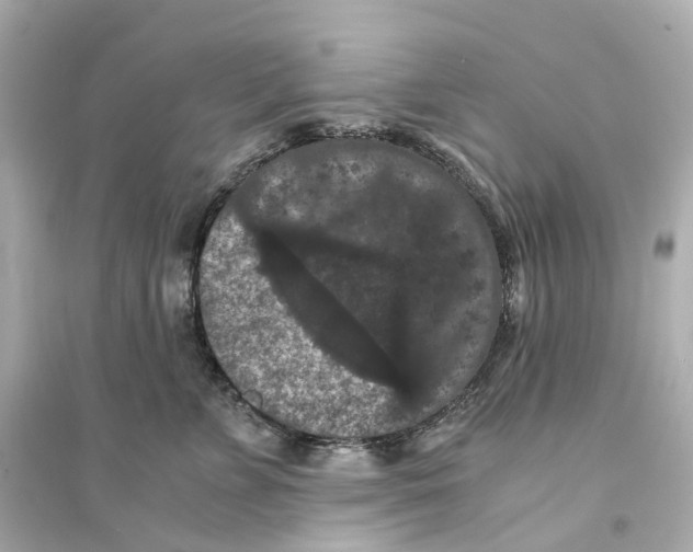 X0000093750715200711131125