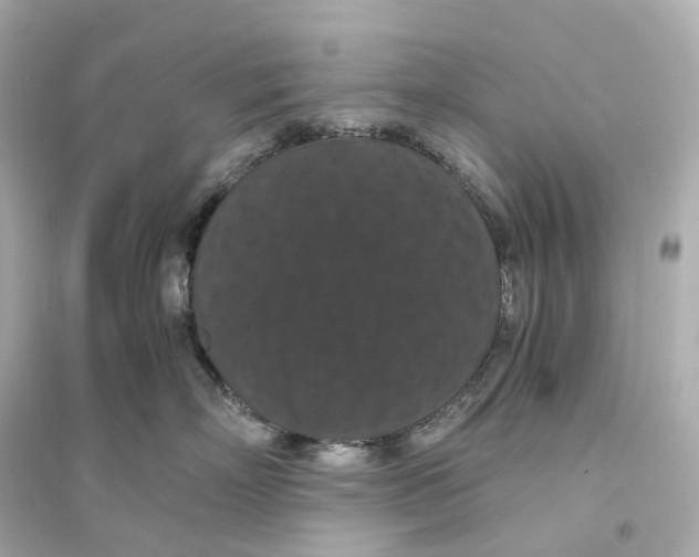 X0000093750718200711131125