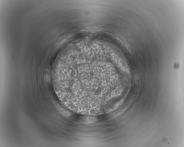 X0000093750719200711131125