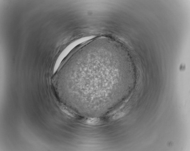 X0000093750720200711131125