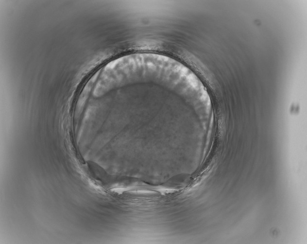 X0000093750721200711131124