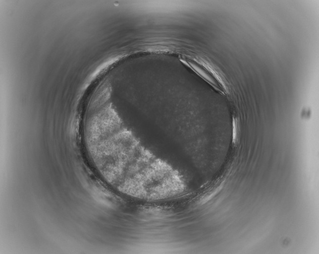 X0000093750723200711131124