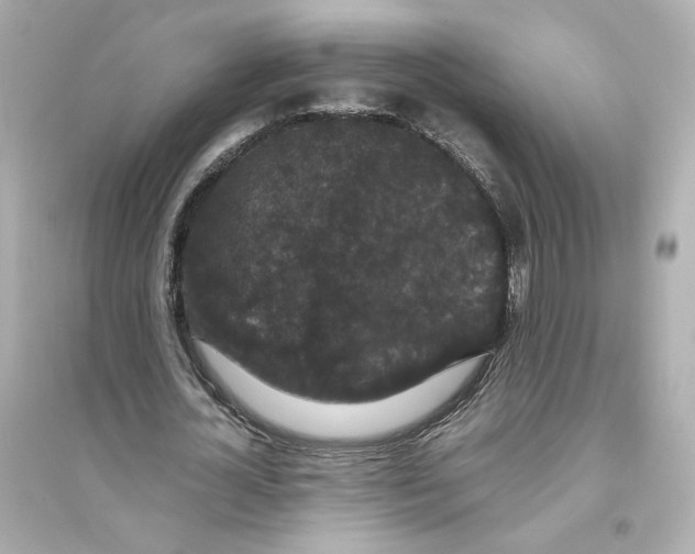 X0000093750724200711131124